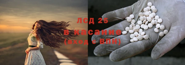 ГАЛЛЮЦИНОГЕННЫЕ ГРИБЫ Снежинск