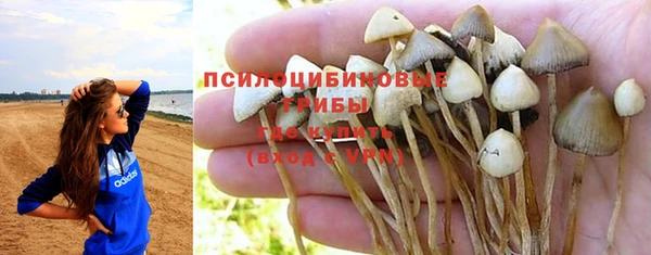 соль ск Тобольск