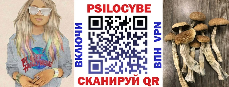 Галлюциногенные грибы Psilocybine cubensis  наркота  Мелеуз 