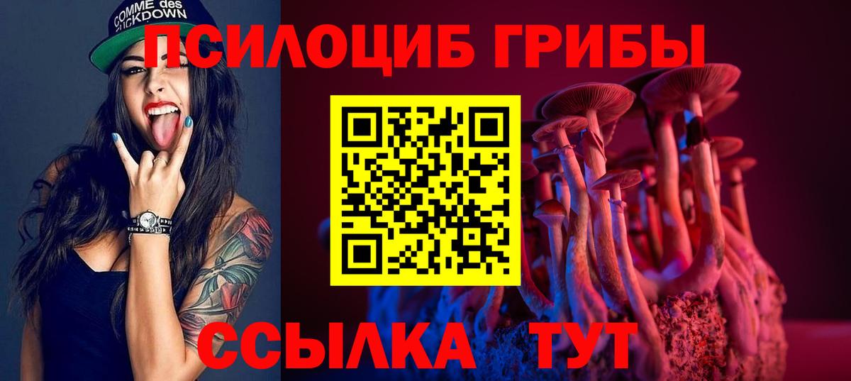 Псилоцибиновые грибы мухоморы Мелеуз